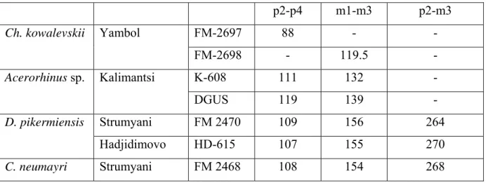 Table 3. Measurements of lower tooth series (occlusal lengths) 