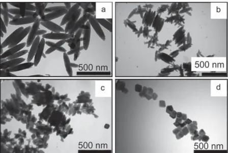 Fig. 11. TEM images of the sample S4 after (a) 0 h, (b) 4 h, (c) 24 h and (d) 192 h.