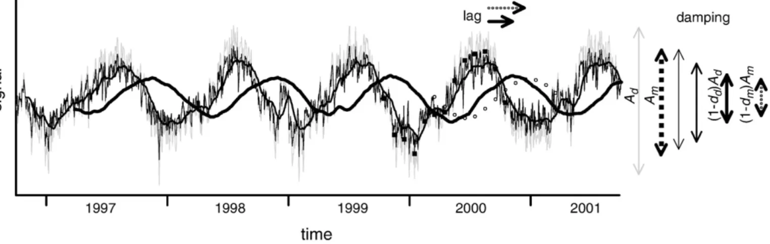 Fig. 2. Theoretical example showing damping and delay effects of a hypothetical δ 18 O signal in drinking water as recorded in horse tooth enamel
