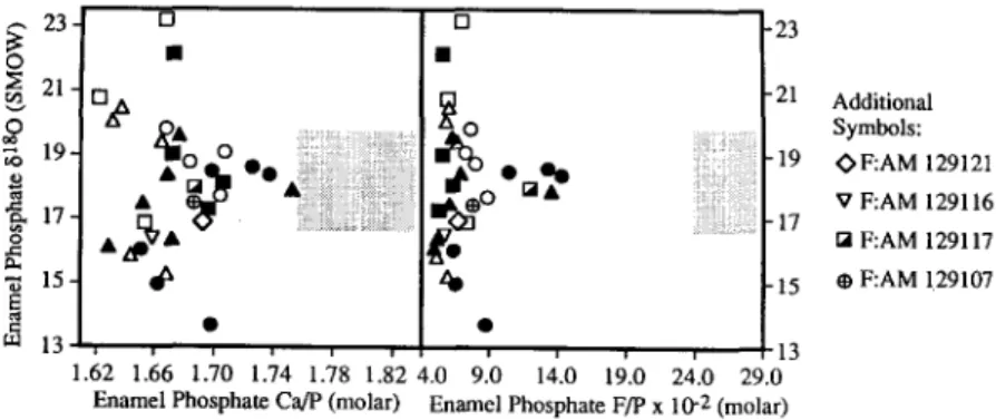 Fig. 8. Diagenetic trends in late Eocene-early Oligocene equid enamel. Ca/P and F/P are sensitive to recrystallization of hydroxylapa-  tite to carbonate fluorapatite, accompanied by reprecipitation in equilibrium with sedimentary conditions very different