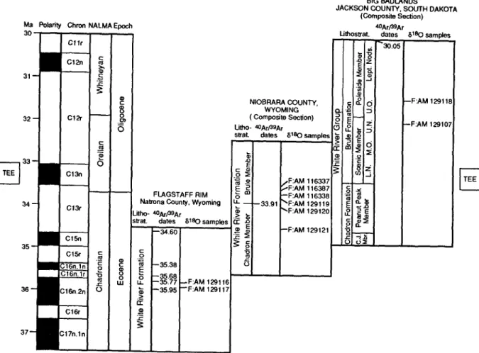 Fig. 4.  Geochronology of the  late Eocene-early Oligocene White River  localities. The  geomagnetic  polarity timescale is after Cande  and Kent (1992)