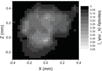 FIG. 8. Example of a two-dimensional scan with the focused beam of the Er L α intensity emitted by a section of the analyzed ﬁber.