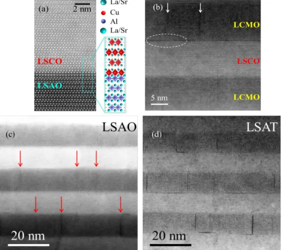 FIG. 8. (Color online) (a) Atomic resolution, high-angle ADF image of the LSCO/LSAO interface