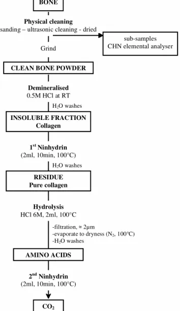 Figure 1  Diagram showing pretreatment steps of bones for AMS  14 C datingH2O washes 