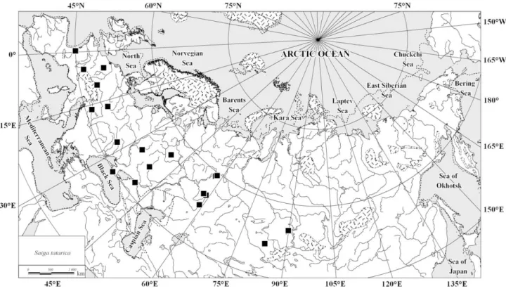 Fig. 9. The steppe lemming Lagurus lagurus localities (33–24 ka BP).