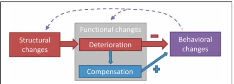 FIGURE 1 | A classification model of the different domains of age-related changes in the neuromotor system controlling postural and manual tasks