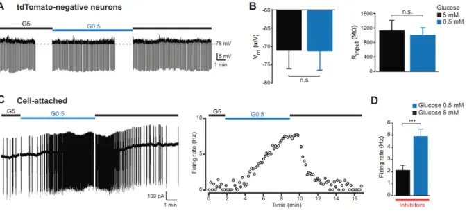 Figure S1. Glucose response of GLUT2 and non-GLUT2 neurons (related to figure 1). 