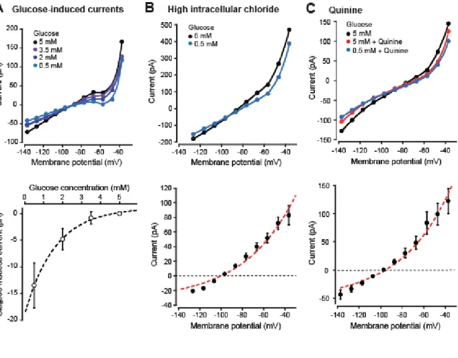 Figure S2. Glucose-induced currents (related to Figure 2).  