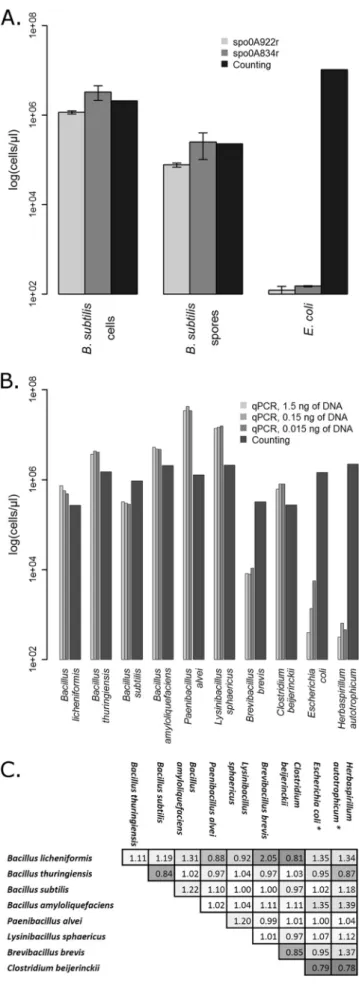 FIG 4 Comparison between a classical quantification with a Neubauer im- im-proved counting chamber and the spo0A gene qPCR assay