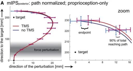 Fig. 3.Group trajectories illustrating the TMS effects for stimulation sites mIPS posterior and aIPS