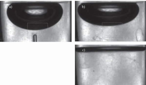 Figure 2. Photos of air − liquid − cellular interface during the CBS-cell method protocol, 20 × magni ﬁ cation