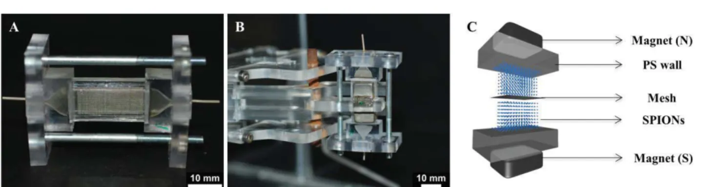 Figure 1: Images of the (A) magnetic microreactor without magnets and (B) full set -up including the reactor holder, the magnetic microreactor, and the permanent  magnets