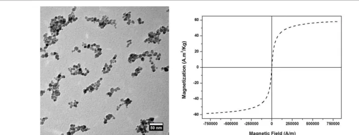 Figure 4: TEM images of the magnetic alignment (B: magnetic field direction) of the NPs inside the microreactor (from left to  right: increasing magnification)