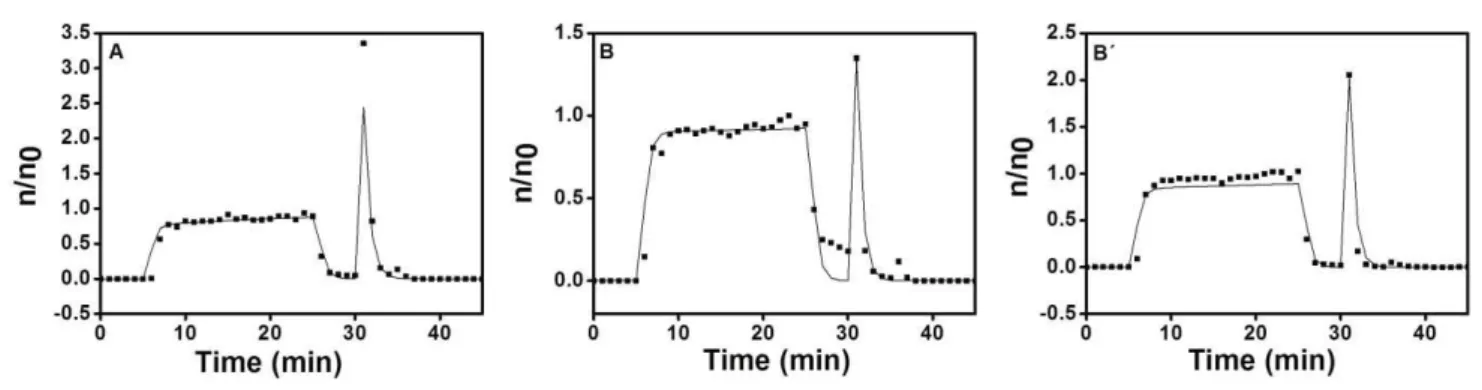 Figure 6: Computation simulation (solid lines) and experimental data (data points) of the immobilization and elution of APTES -coated SPIONs as function of time for  each microreactor type (A, B, and B´)