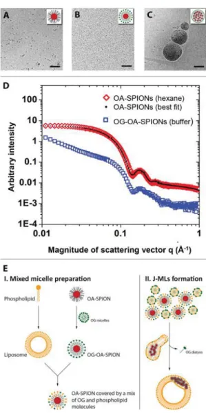 Figure 3 and suppl. movie). Moreover, the intrusion volume between the lipid sheets was measured to be approximately 128960 nm 3 , which corresponds to an estimated 660 nanoparticle-sized cluster (Figure 2E).