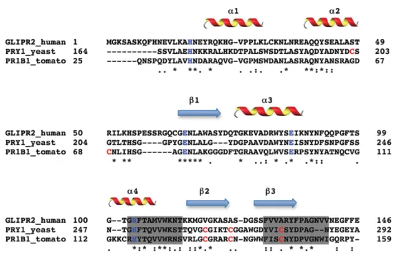 Fig.     1.   Sequence alignment of CAP superfamily members. Shown is a sequence alignment of human GLIPR2,  yeast Pry1, and tomato PR1B1