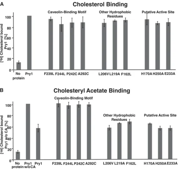 Fig.     6.   Mutations in the caveolin-binding motif affect cholesteryl acetate binding in vitro