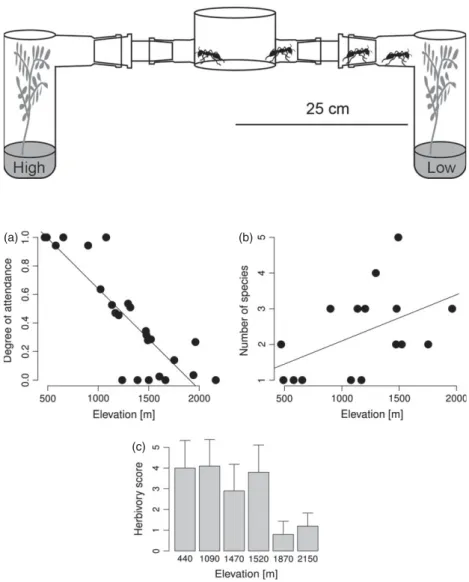 Fig. 1. Ant olfactometer. Shown is a modi ﬁ ed six-arm olfactometer after Rasmann et al