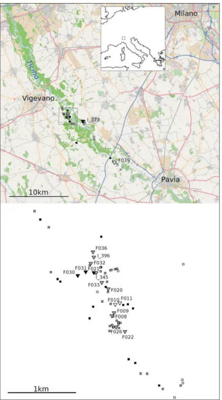 Figure 1: Map of sampling localities. Top, locality of the Populus hybrid zone in northern Italy; bottom, enlarged map of the core study stand