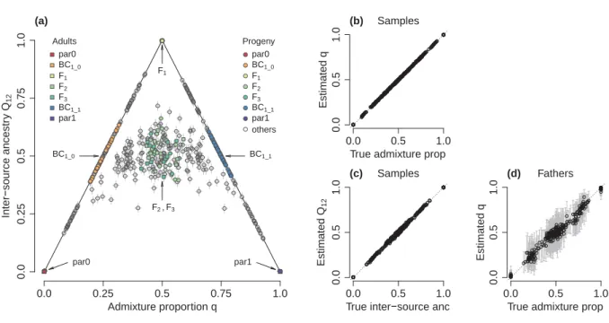 Figure 5: Ancestry estimates for simulated data. The performance of the model and software is shown for one of the simulations, with F = 0.8 and coverage = 8