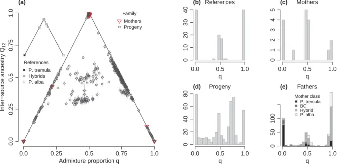Figure 6: Ancestry estimates for empirical data, based on 11,976 SNPs. (a) Inter-source ancestry (Q 12 ) is plotted as a function of admixture proportion (q) for all samples excluding fathers; lines indicate maximum possible Q 12 given q; thin lines show 9