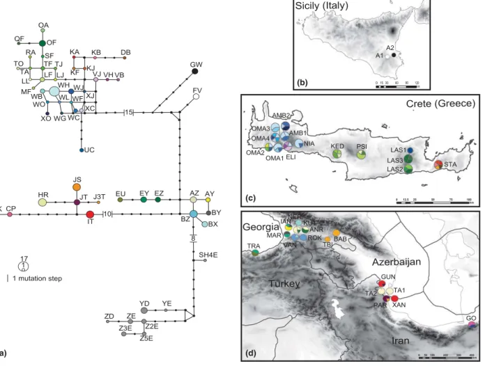Fig. 1d) are found only in the western populations. The sec- sec-ond group of haplotypes (JS, JT, J3T, IT and HR) is found in the ﬁve eastern and the two central populations, whereas haplotypes CP and CK are seen in the population from Golestan (north-east