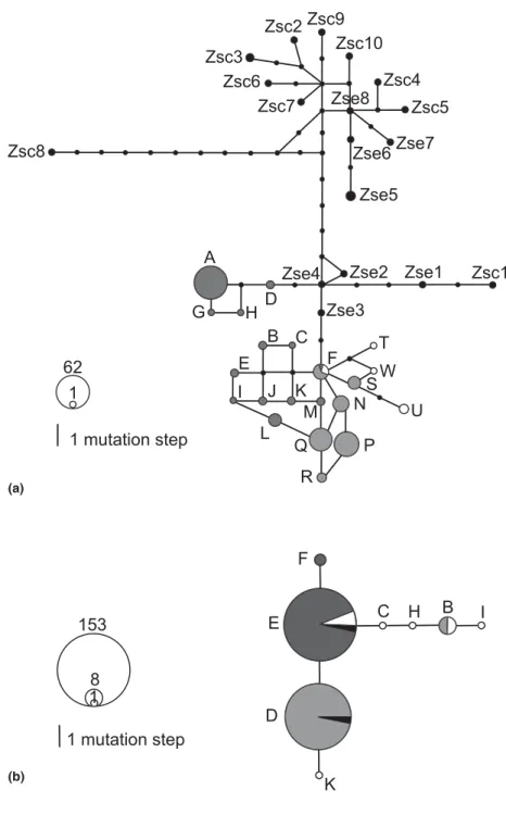 Figure 2 Median joining network for ribotypes of the nuclear ITS1 (a) and ITS2 (b) in six Eurasian Zelkova species