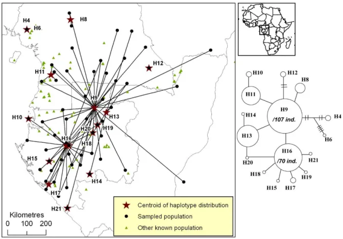 Figure S4. Distribution of pDNA haplotypes of Greenwayodendron suaveolens 