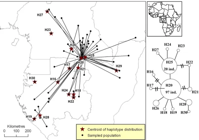 Figure S5. Distribution of pDNA haplotypes of Erythrophleum suaveolens in Atlantic Central  Africa