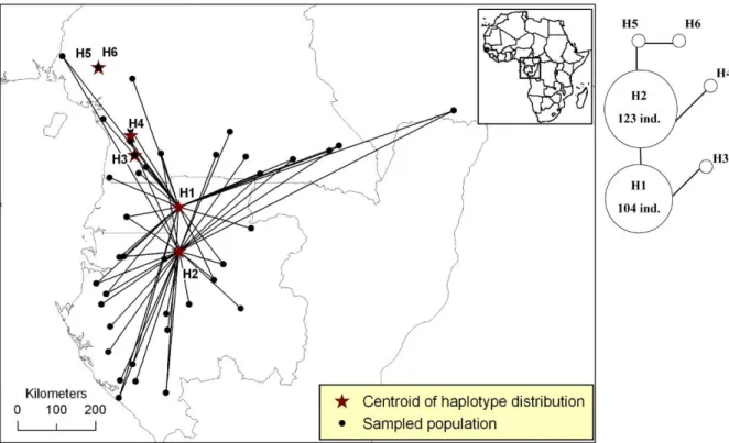 Figure S6. Distribution of pDNA haplotypes of Santiria trimera in Atlantic Central Africa