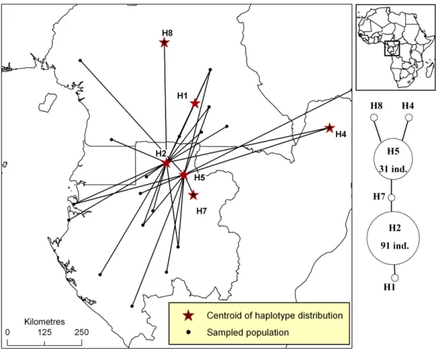 Figure S7. Distribution of pDNA haplotypes of Milicia excelsa in Atlantic Central Africa