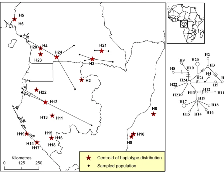 Figure S8. Distribution of pDNA haplotypes of Symphonia globulifera in Atlantic Central  Africa
