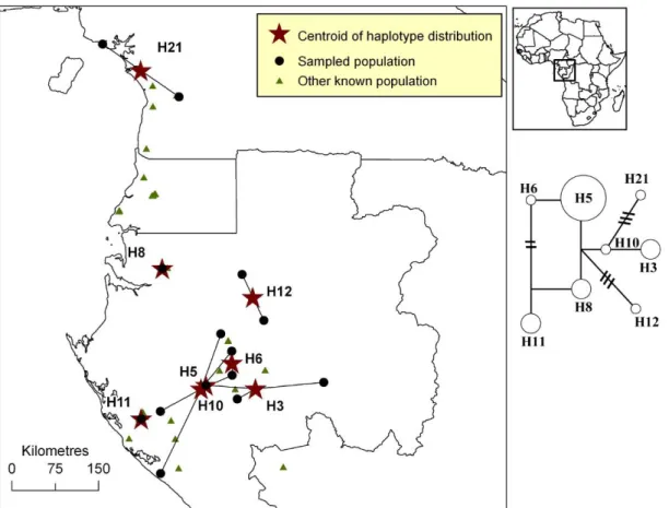 Figure S1. Distribution of pDNA haplotypes of Afrostyrax kamerunensis in Atlantic Central  Africa