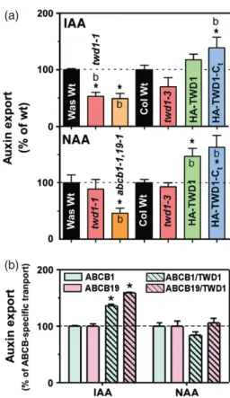 Figure 3. Hypermorphism of HA – TWD1-C t plants is caused by enhanced cell elongation.