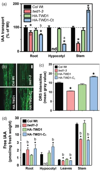 Figure 5. Genetic manipulation of TWD1 expression alters shoot PAT and IAA levels.