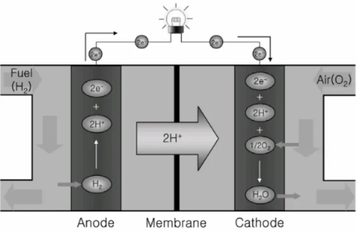 Figure 1. Schematic structure and operational principle of a polymer electrolyte membrane fuel cell  (PEMFC)