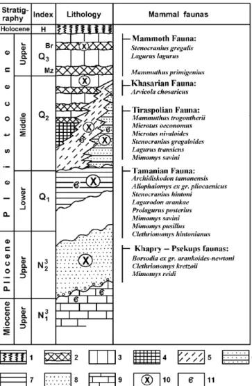 Fig. 6. Summary section of the Upper Pliocene and Pleistocene deposits outcropping in the northeast of the Azov Sea area