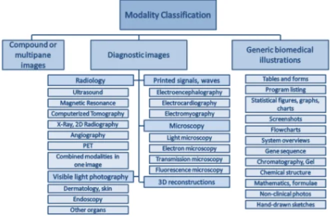 Figure 1: Hierarchy of modalities or image types considered in the modality classification task.