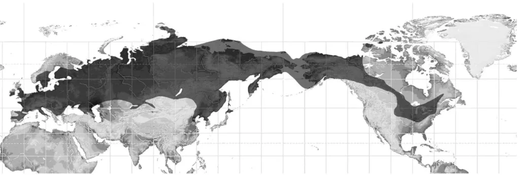 Fig. 8. Sketch of global maximum distribution of the woolly mammoth (Mammuthus primigenius) during the Late Pleistocene (mapping: R.-D