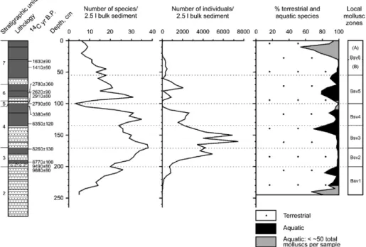 Fig. 9. Ecological proﬁle of the Basovo molluscan succession showing the number of species and individuals/2.5 l of sediment, together with the percentage of land and freshwater species and their zonation.