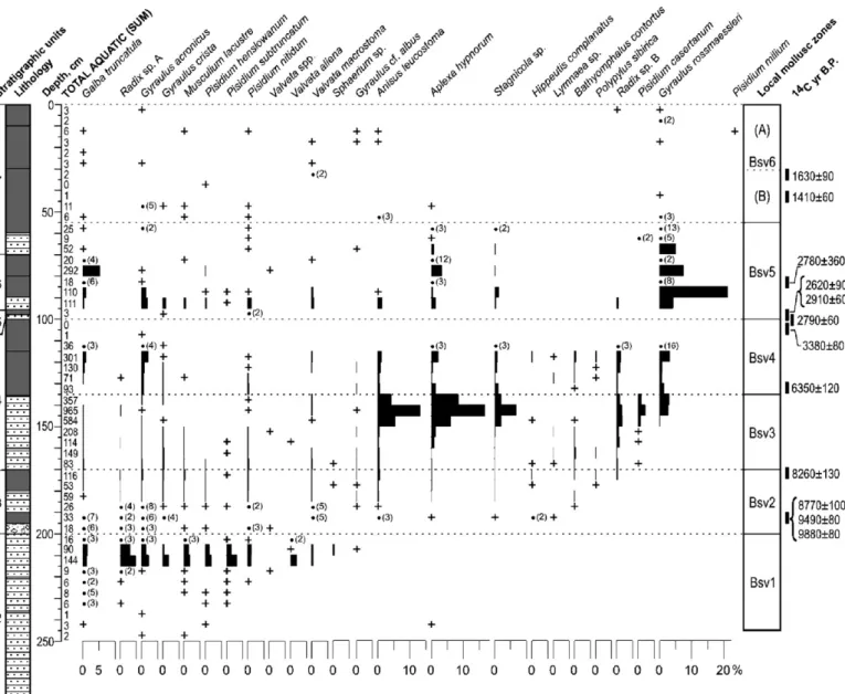 Fig. 11. Mollusc diagram plotting the frequency of freshwater taxa at Basovo. All values expressed as percentages of total land snails