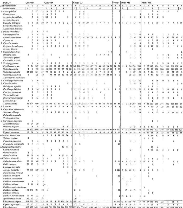 TABLEAU  1  -  Liste  des  malacofaunes  de  Soucy.  L'ordre  des  esp~ces  suit  la  classification  en  groupes  6cologiques  (GE)  d6finie  par  J.J