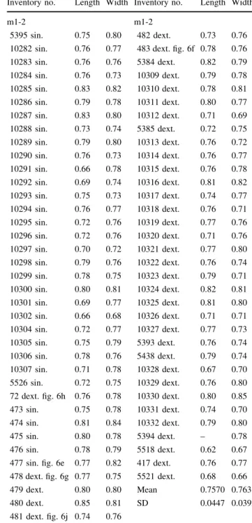 Table 4 Measurements (mm) of m1-2 of Keramidomys thaleri from Sandelzhausen, including mean and standard deviation