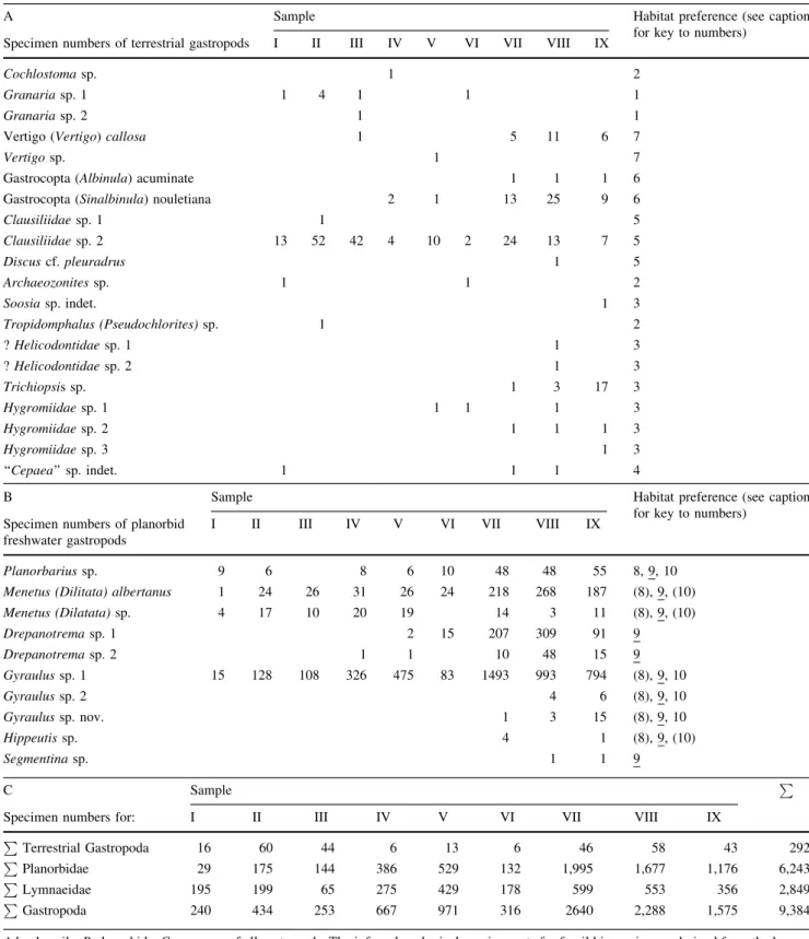 Table 2 Number of specimens and stratigraphic distribution of the gastropod fauna within quantitative samples I–IX from Sandelzhausen, PQ 10-G