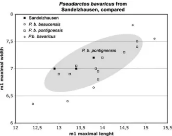 Table 3 Teeth measurements (mm) from Pseudarctos bavaricus Schlosser, 1899