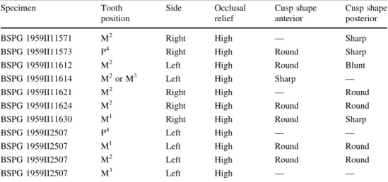 Table 1 Mesowear scorings of Metaschizotherium bavaricum from Sandelzhausen; upper molars and premolars examined by mesowear method Specimen Tooth position Side Occlusalrelief Cusp shapeanterior Cusp shapeposterior