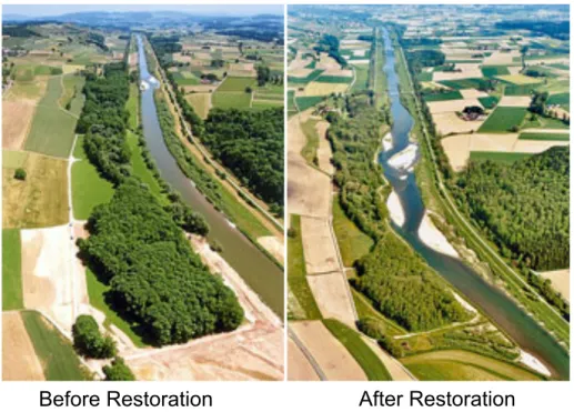 Figure  3.  The  studied  restored  section  of  River  Thur  at  Schäffäuli  before  and  after  restoration in 2002