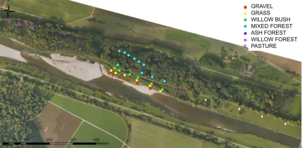 Figure  4.  Seven  different  FPZ  selected  at  the  study  site.  With  increasing  distance  and  elevation we selected Gravel (GC), Grass (Ph) and Willow bush (WB), followed by Mixed  forest (MF) and Pasture and then by Ash forest (AF) and Willow fores