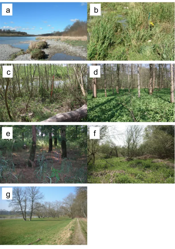 Figure 5. Pictures of the studied FPZ: a) Gravel, b) Grass, c) Willow bush, d) Mixed forest,  e) Ash forest, f) Willow forest and g) Pasture