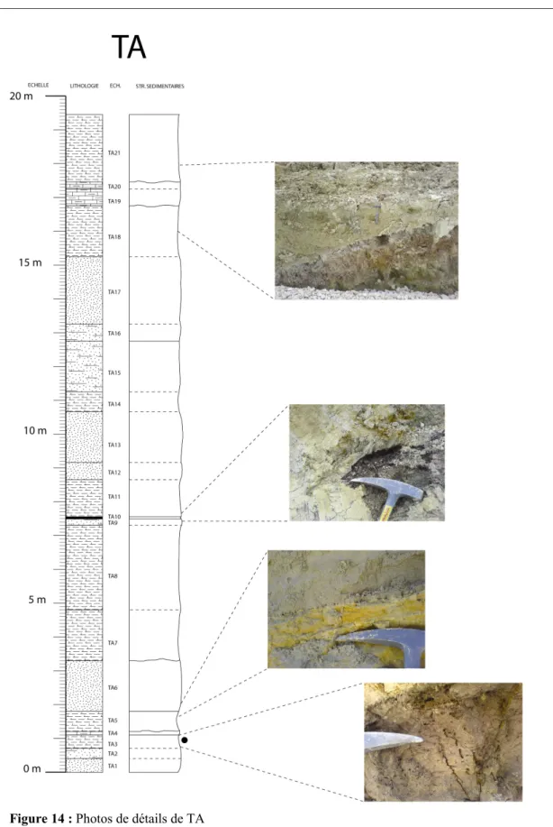 Figure 14 : Photos de détails de TA